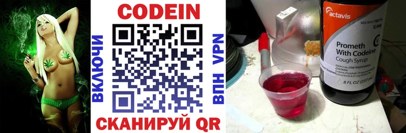 Кодеин Purple Drank  где найти наркотики  Закаменск 