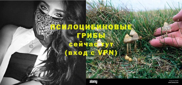 гашик Алзамай