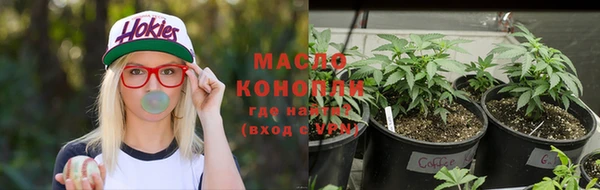 гашик Алзамай